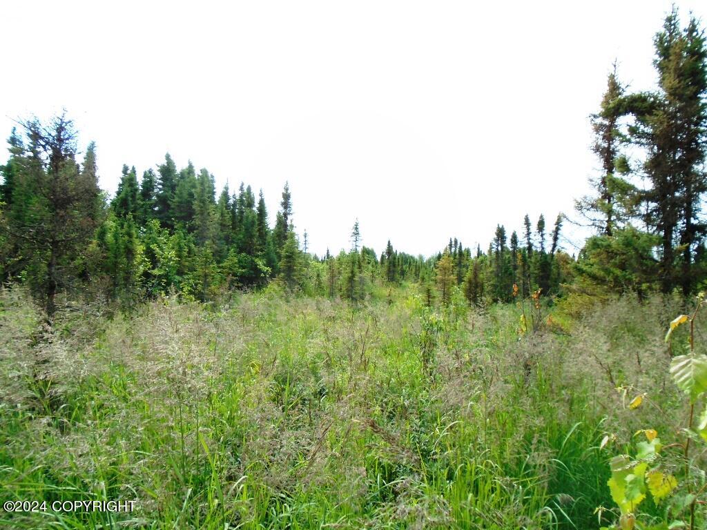 Lot 1 W 92nd Avenue