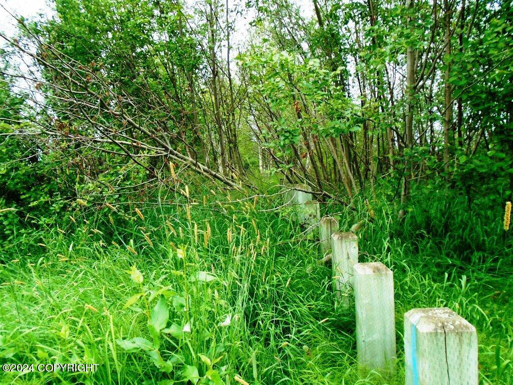 Lot 1 W 92nd Avenue