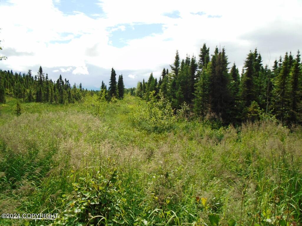 Lot 1 W 92nd Avenue