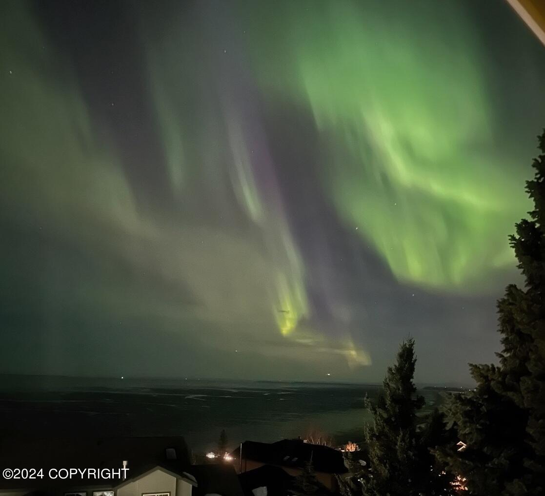 18702 Guillemot Circle