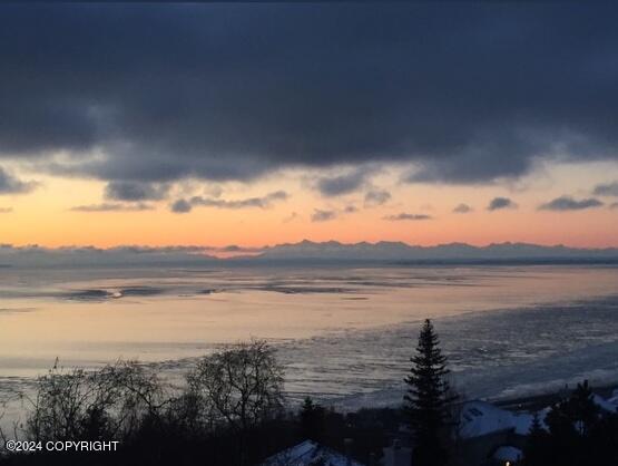 18702 Guillemot Circle