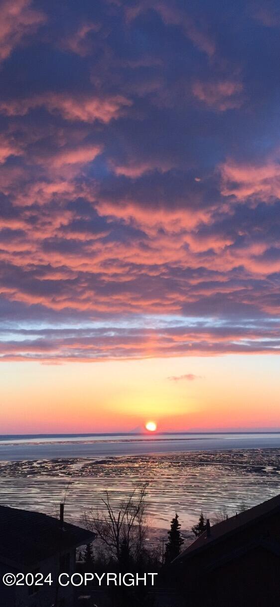 18702 Guillemot Circle