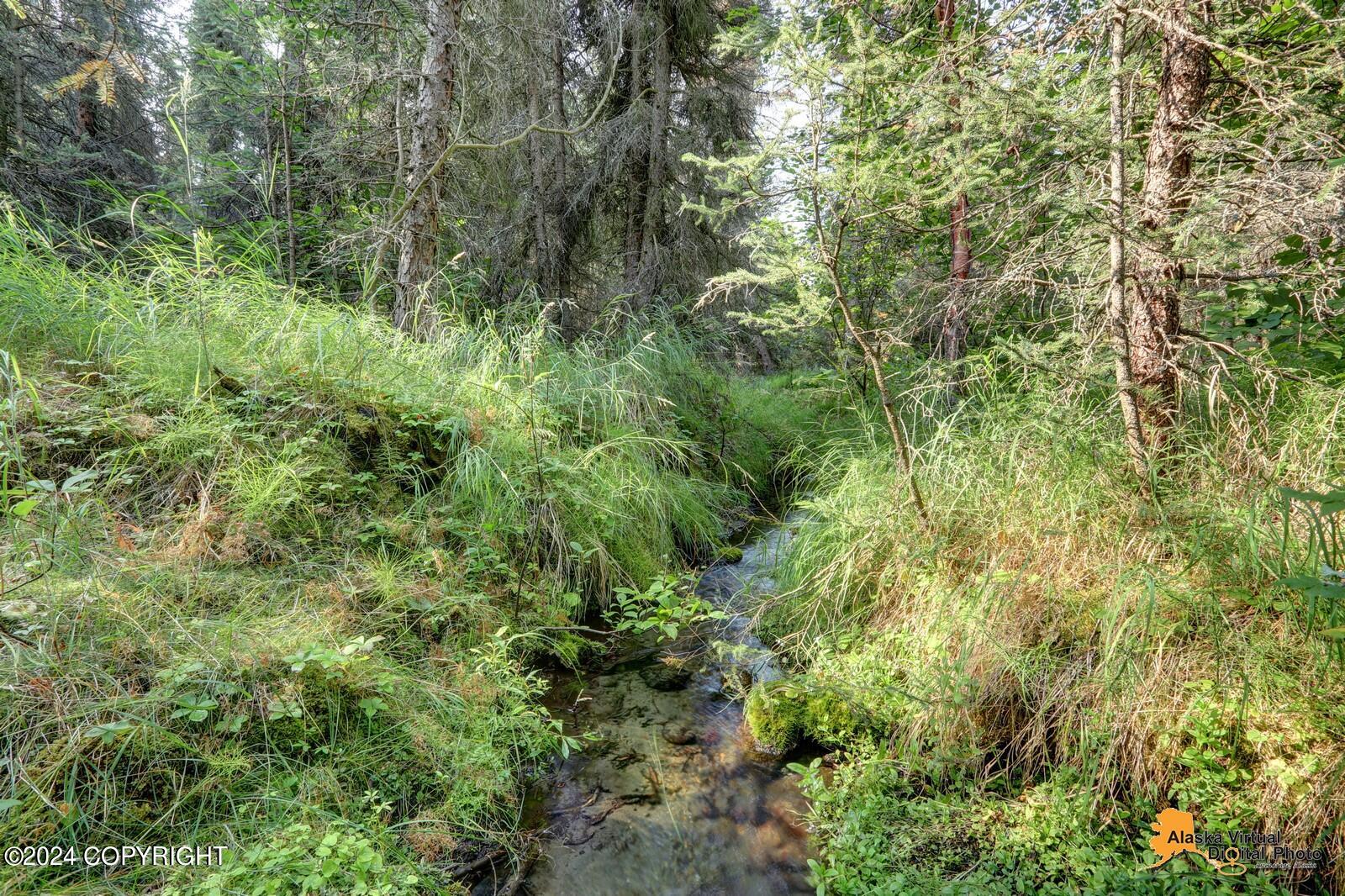 9620 Spring Hill Drive