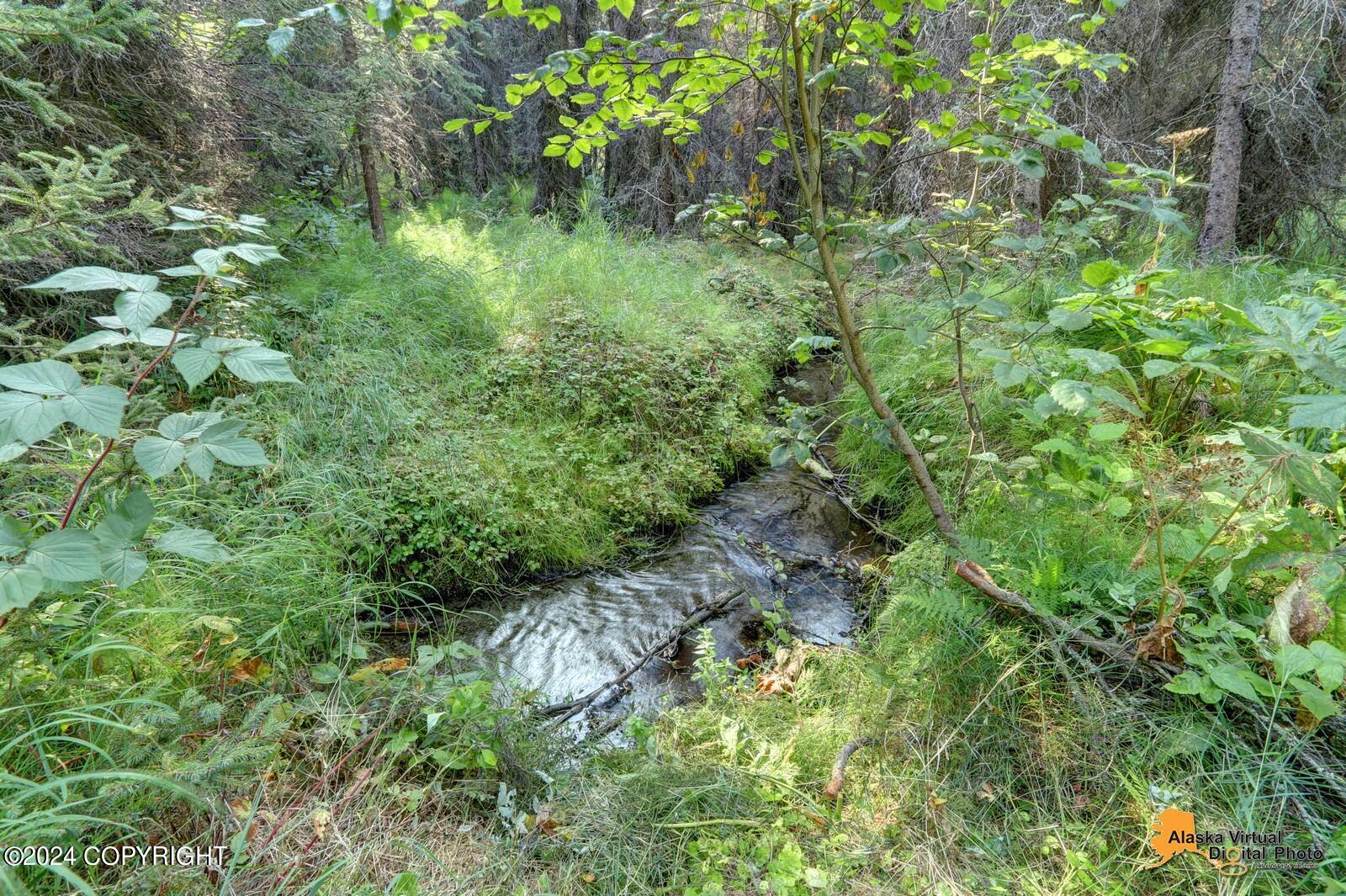 9620 Spring Hill Drive