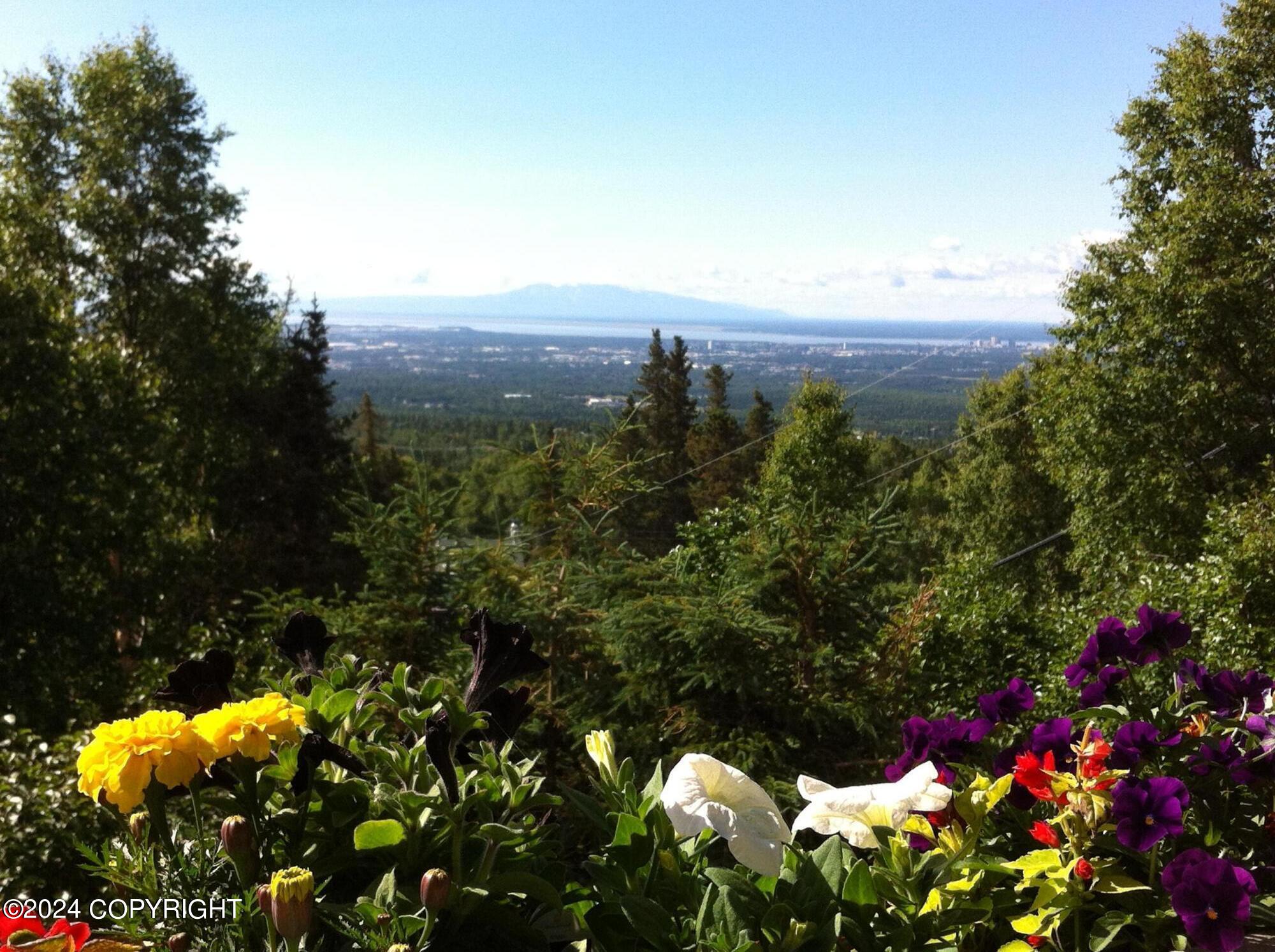 8241 Longhorn Street