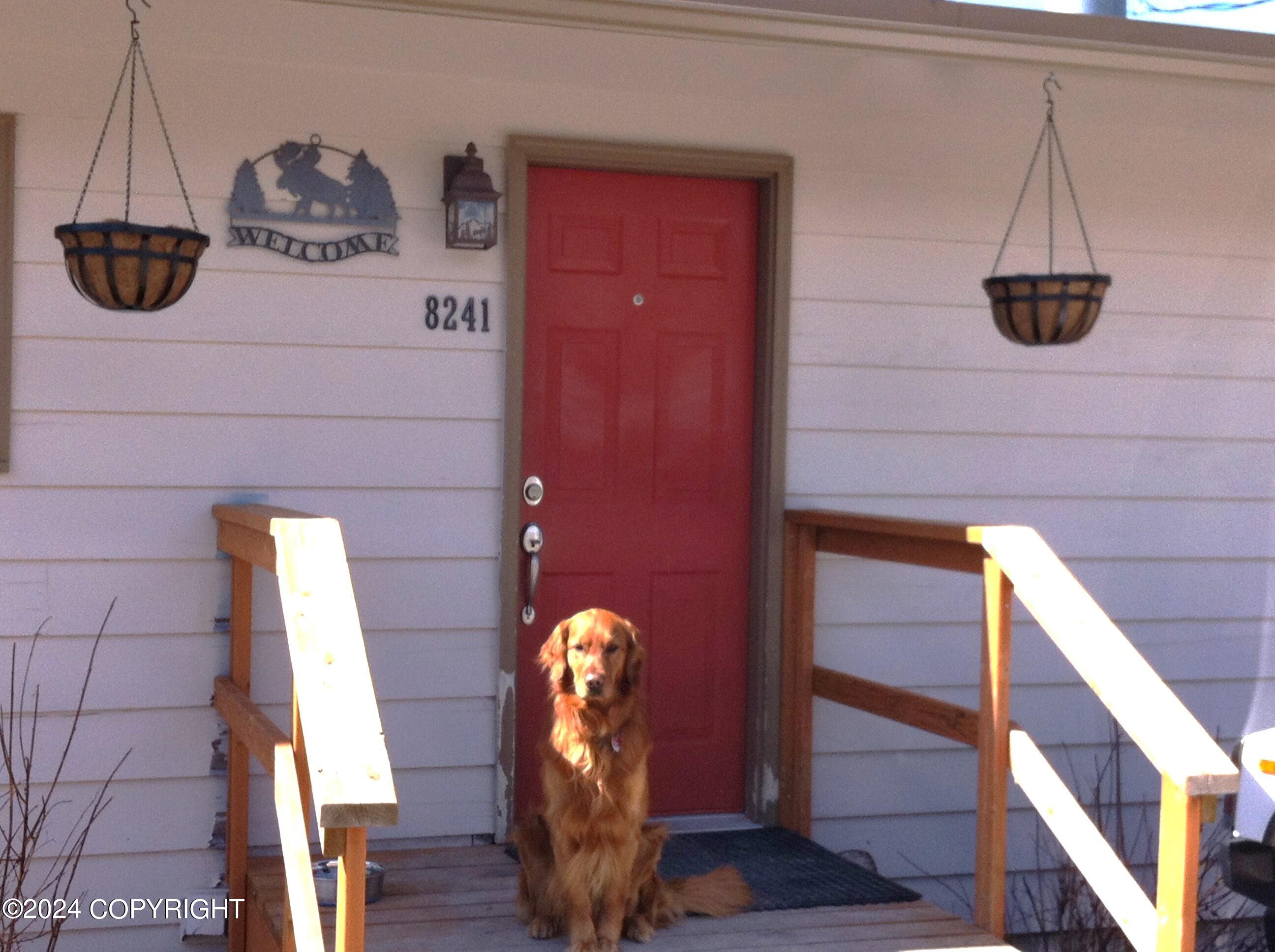 8241 Longhorn Street