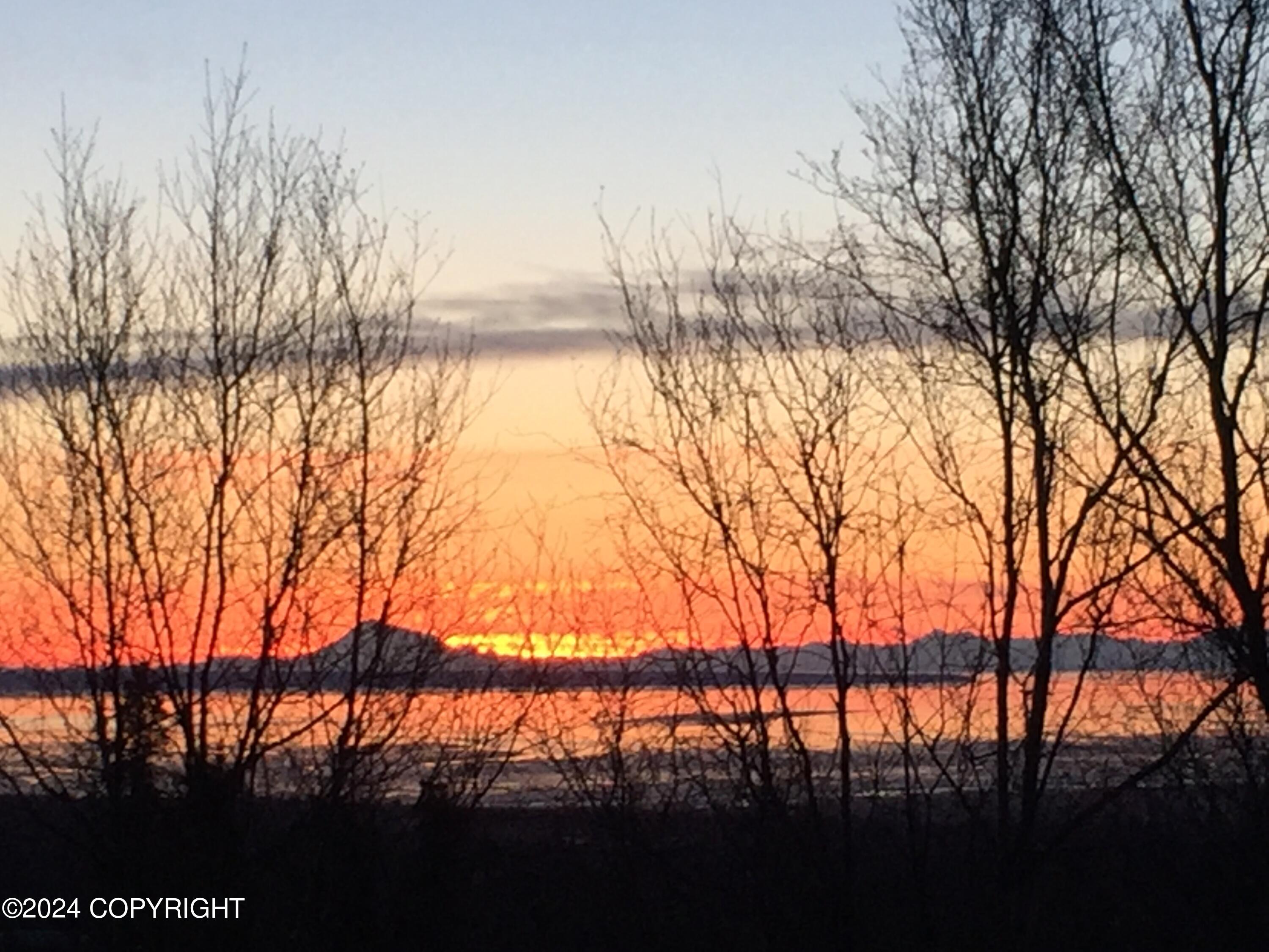 8241 Longhorn Street