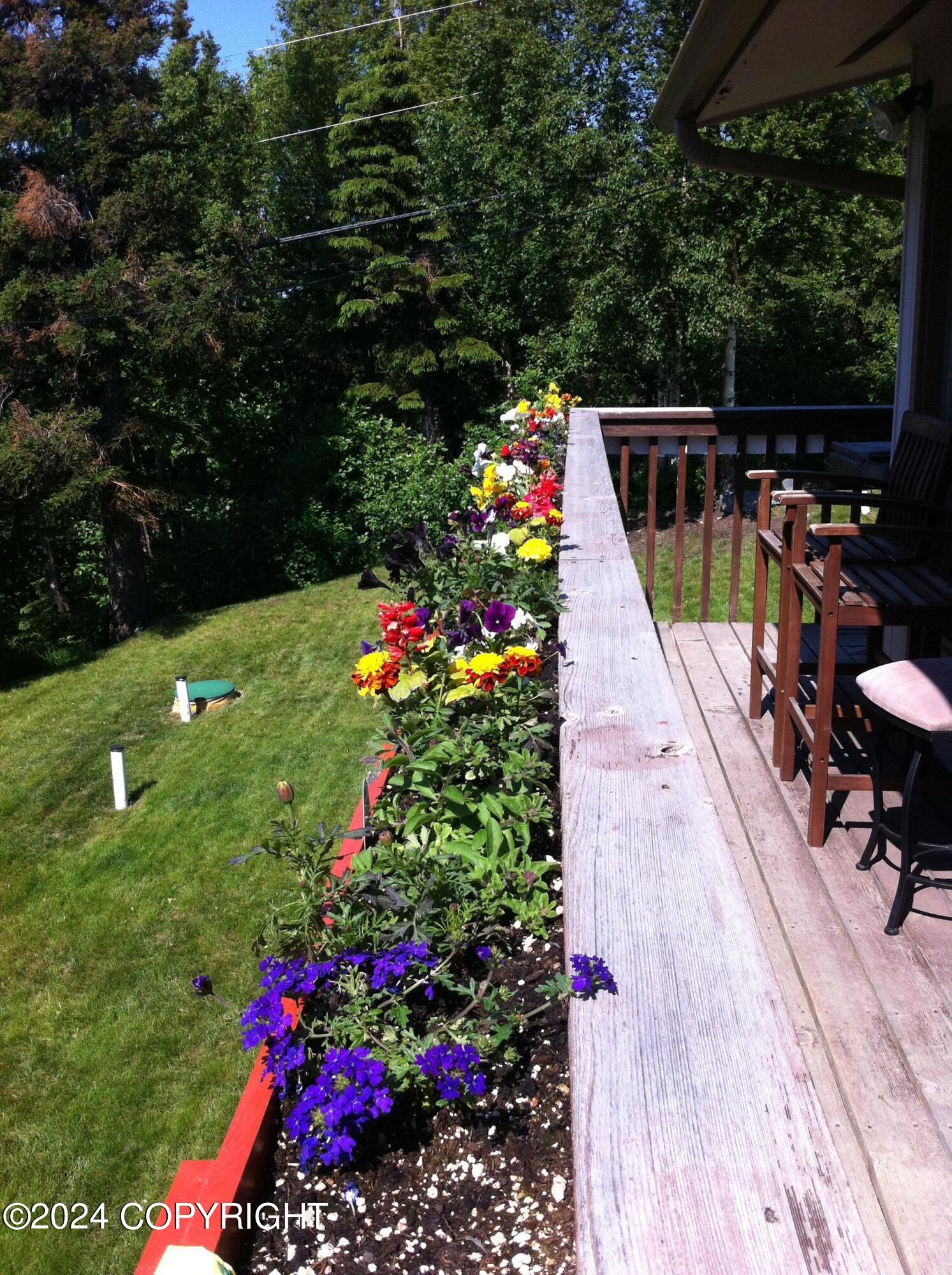 8241 Longhorn Street