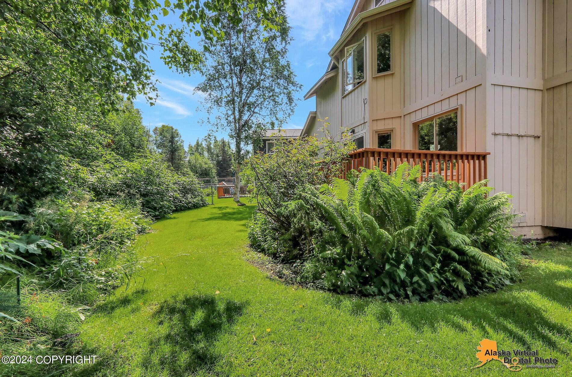 3251 Rosalind Loop