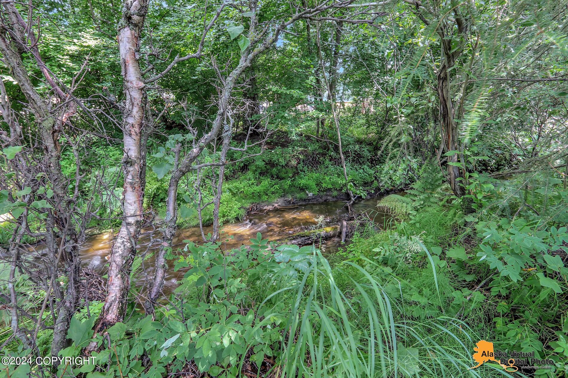 3251 Rosalind Loop