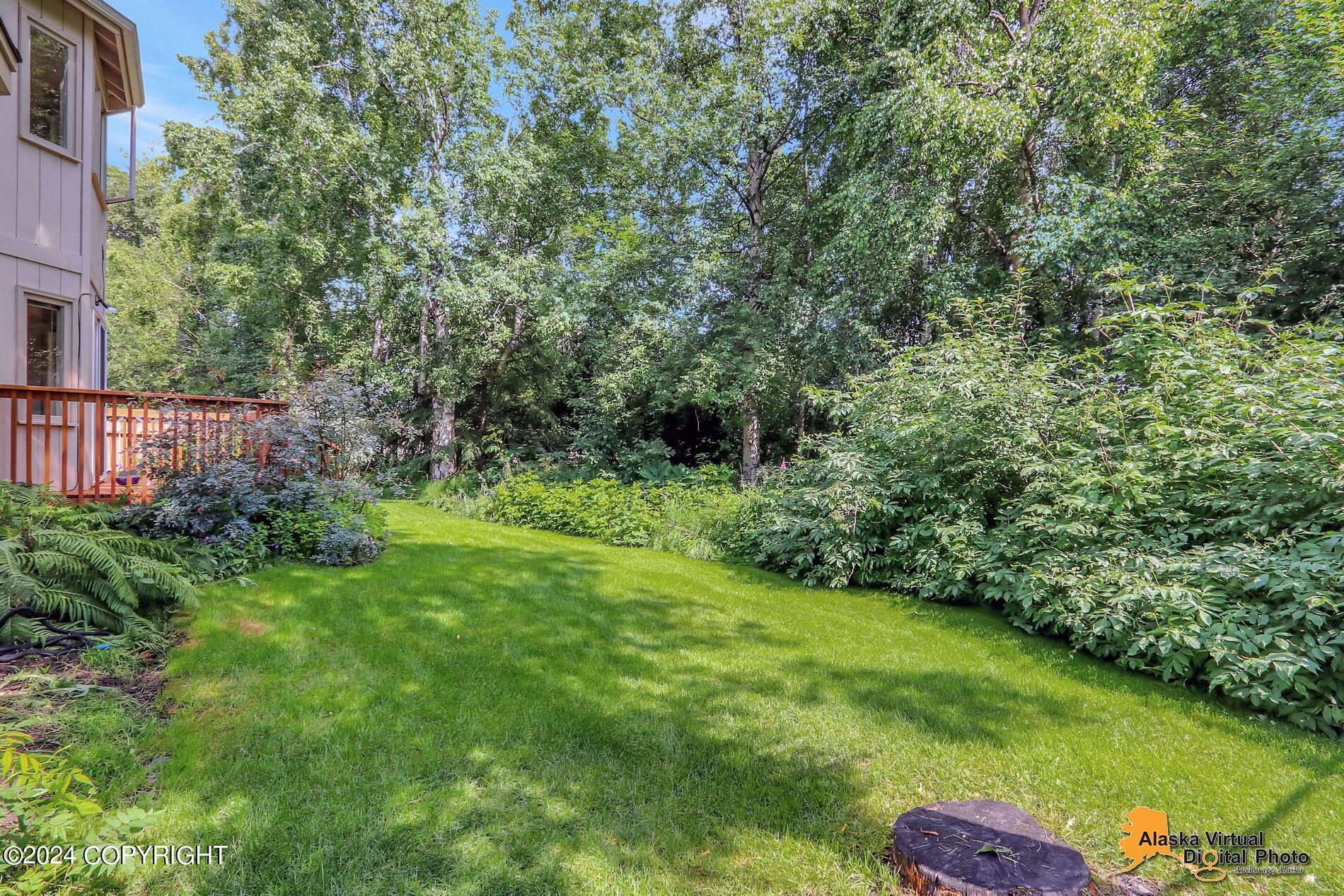 3251 Rosalind Loop