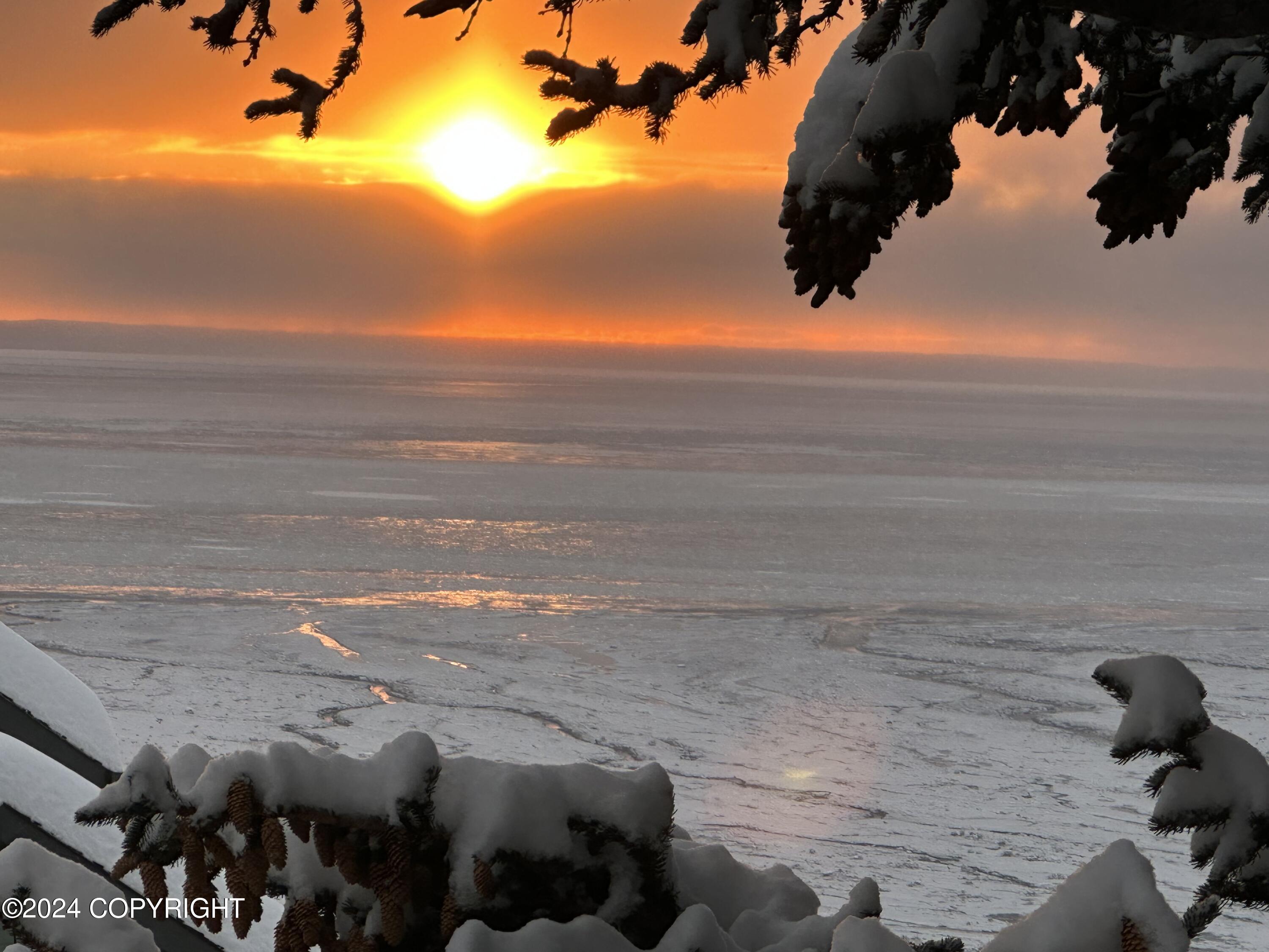 18628 Harlequin Place