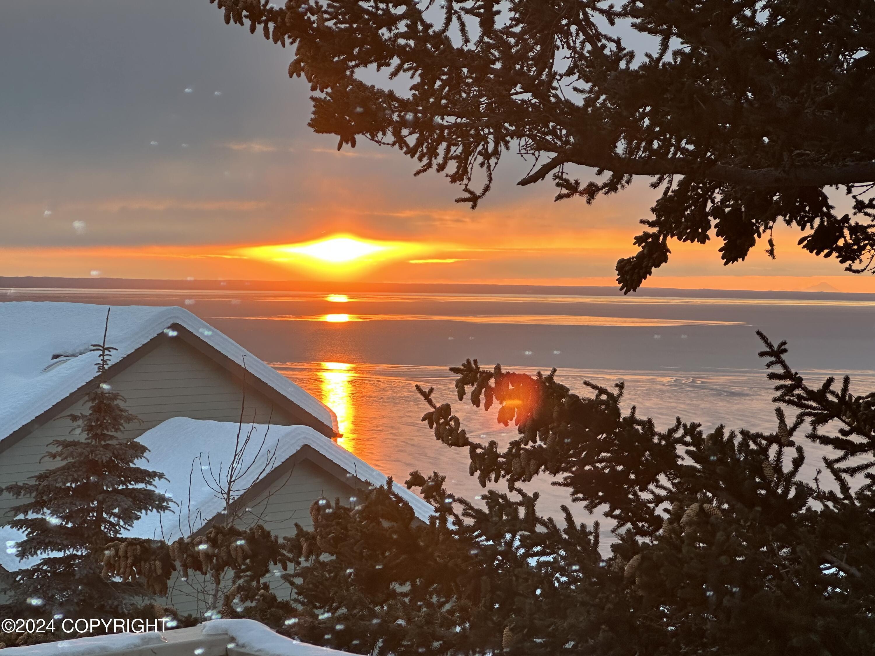 18628 Harlequin Place