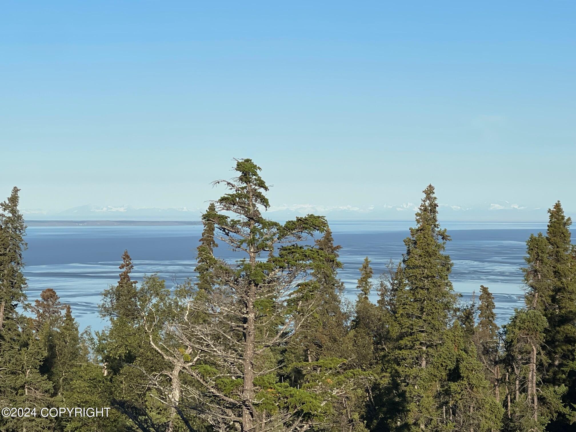 17697 Golden View Drive