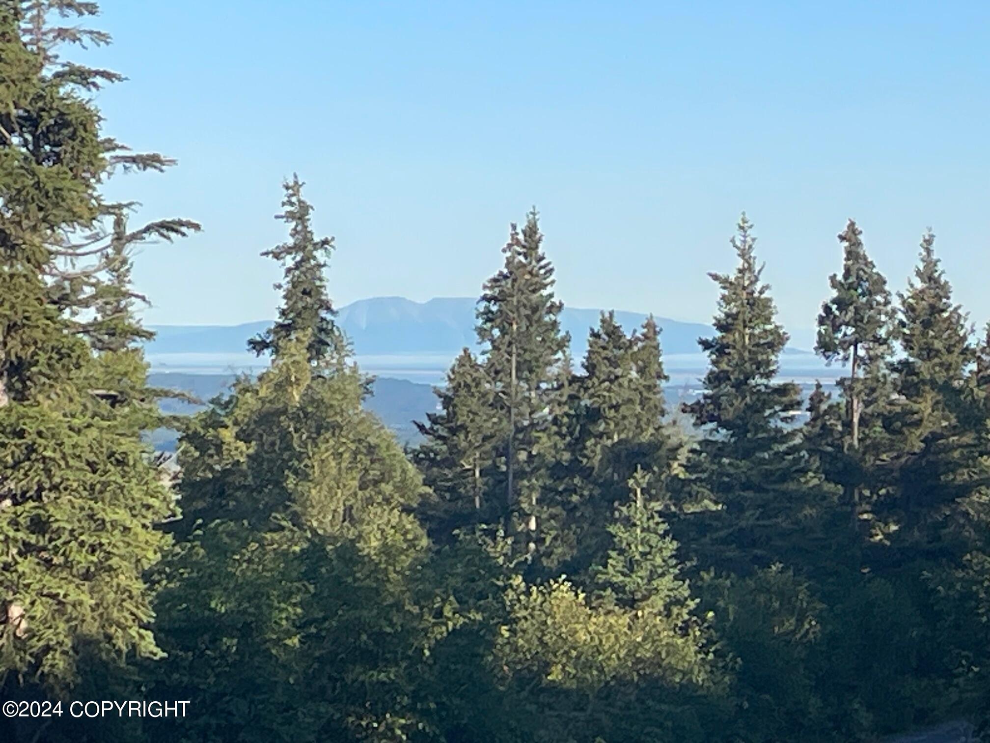 17697 Golden View Drive