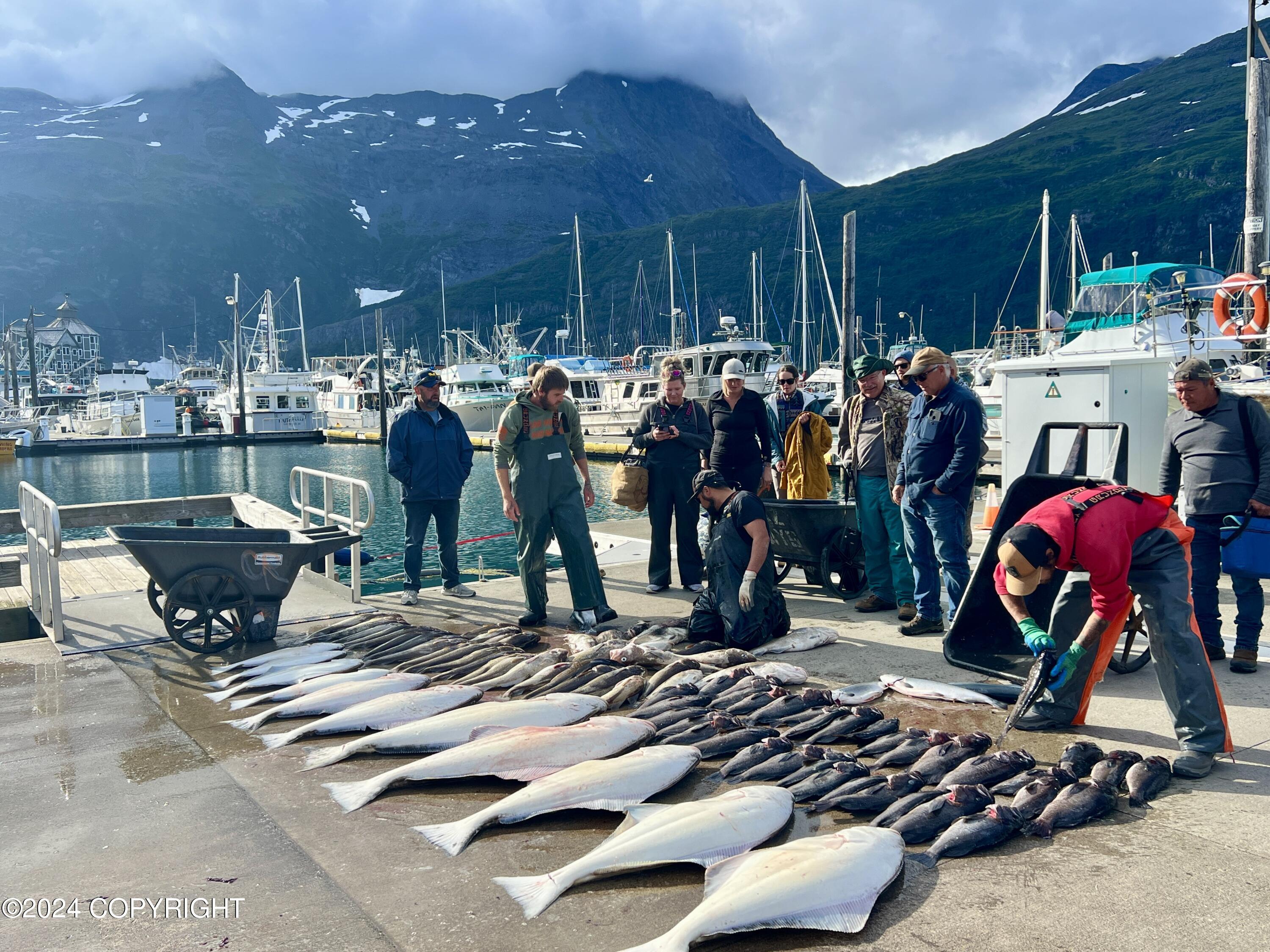 100 Kenai Street # 513 Unit: #513