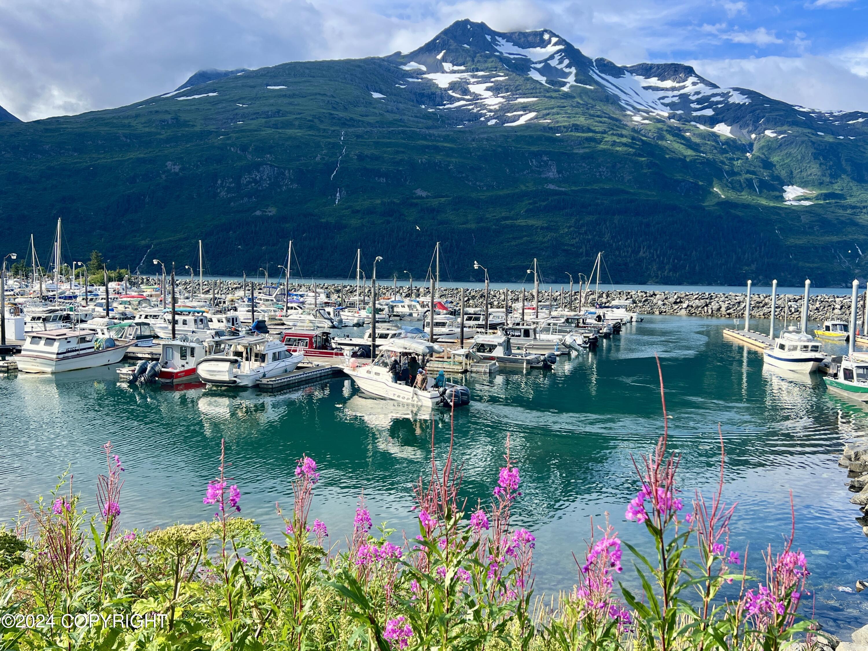 100 Kenai Street # 513 Unit: #513