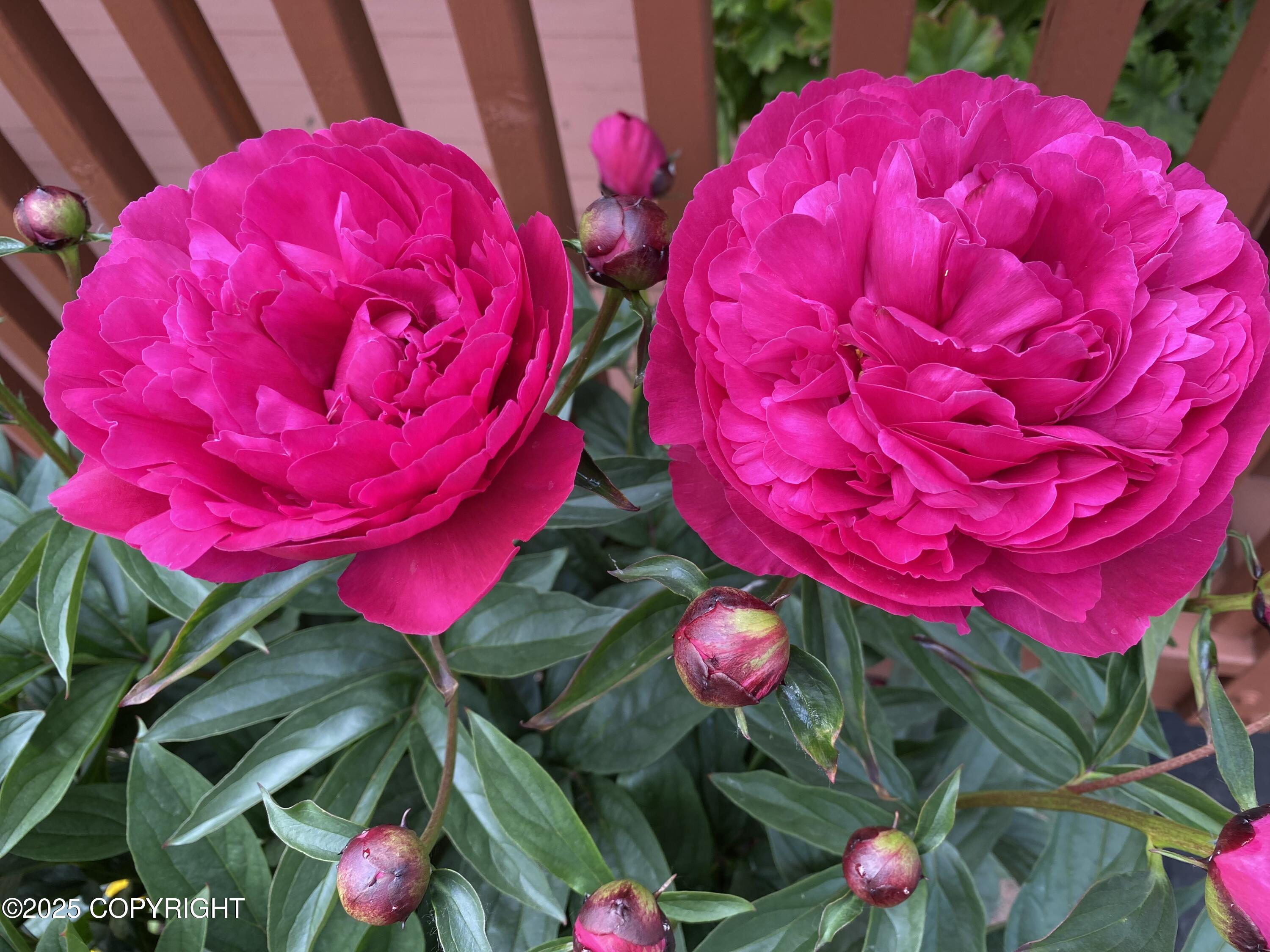 7910 Alpine View Circle