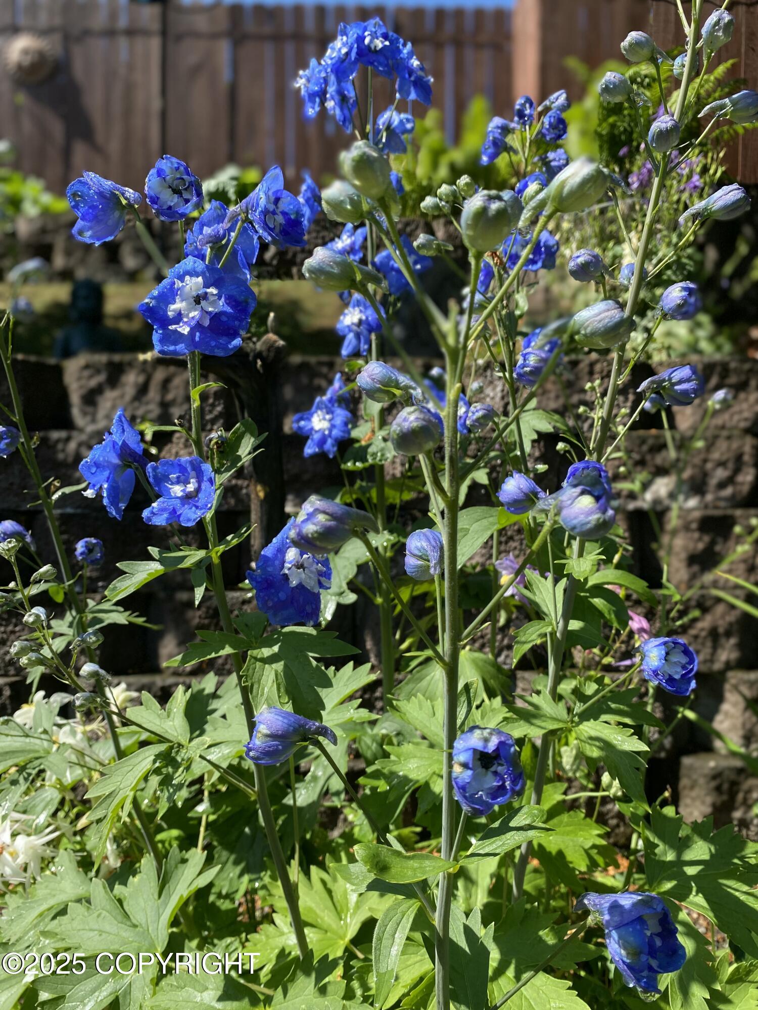 7910 Alpine View Circle