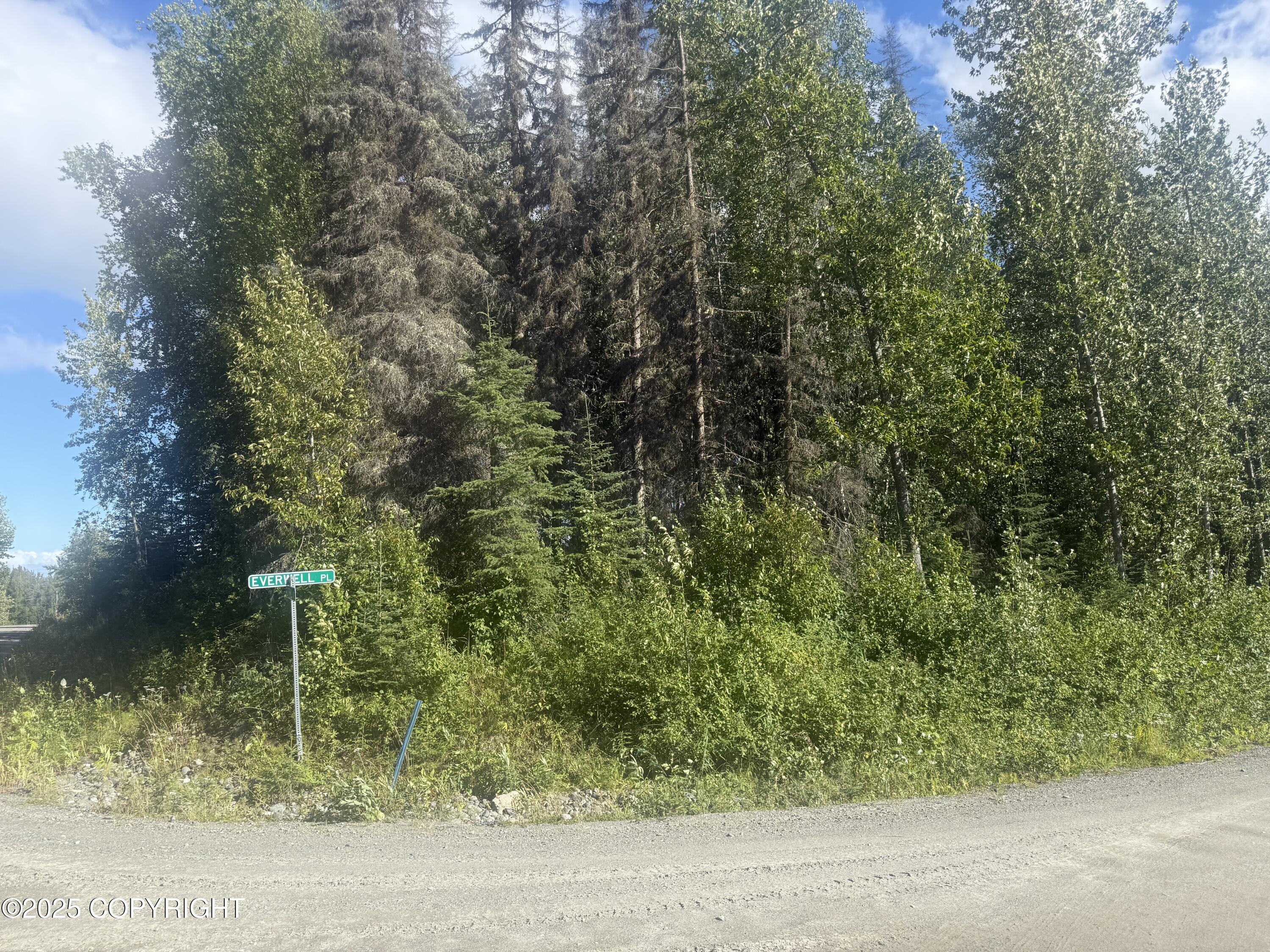 35868 Everwell Place