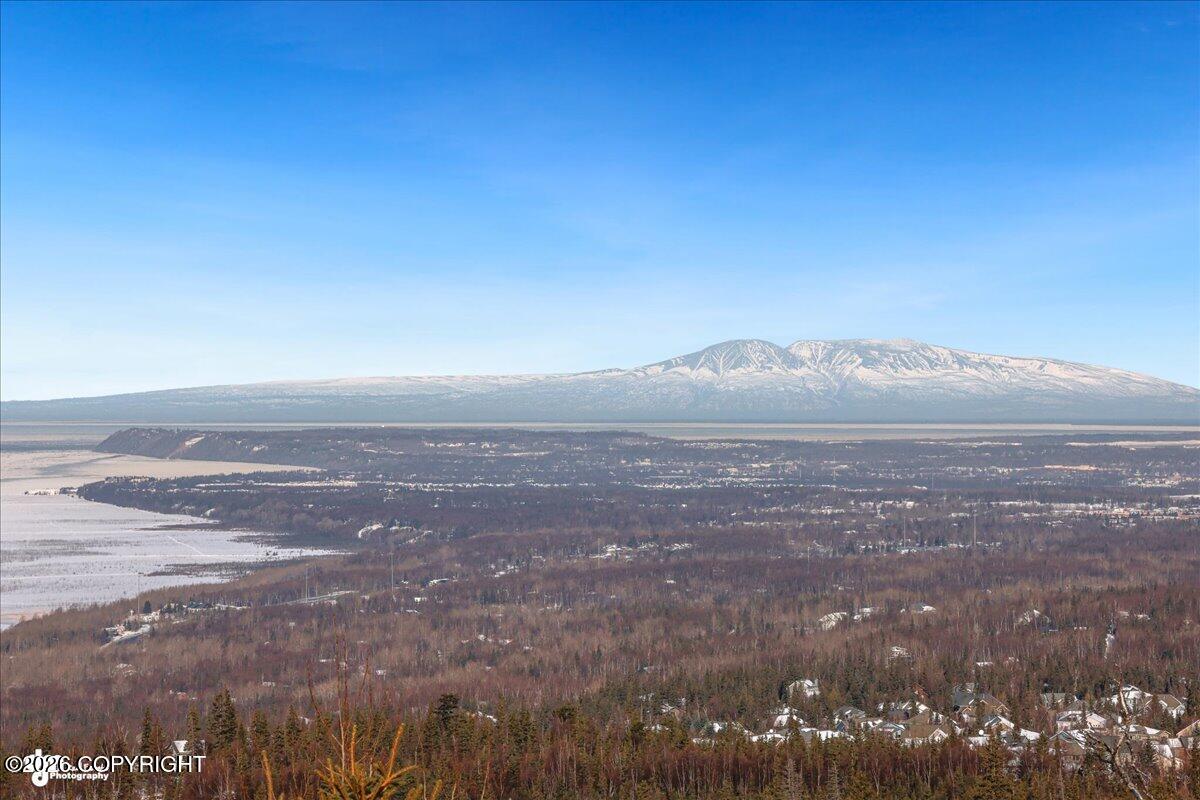 16957 Bedford Chase Circle