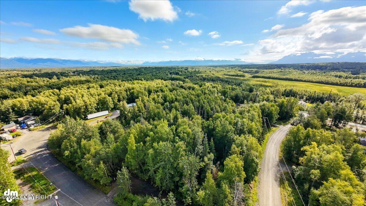 0000 Devon Wood Div1 L8 B1