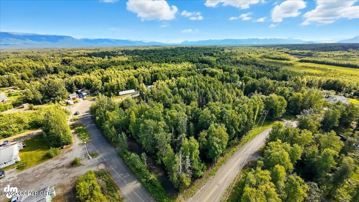 0000 Devon Wood Div1 L8 B1