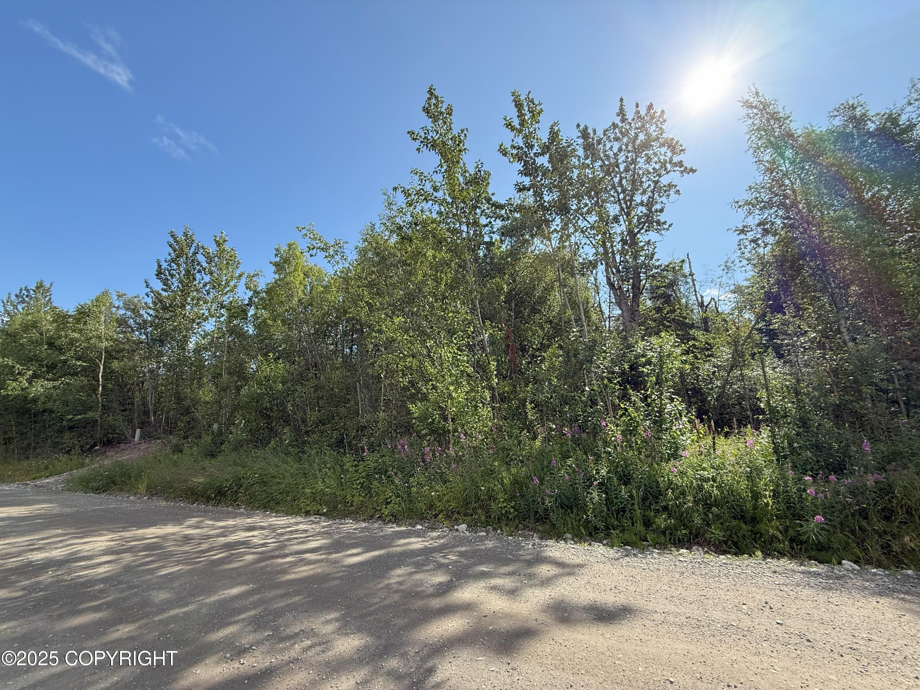 0000 Devon Wood Div1 L8 B1