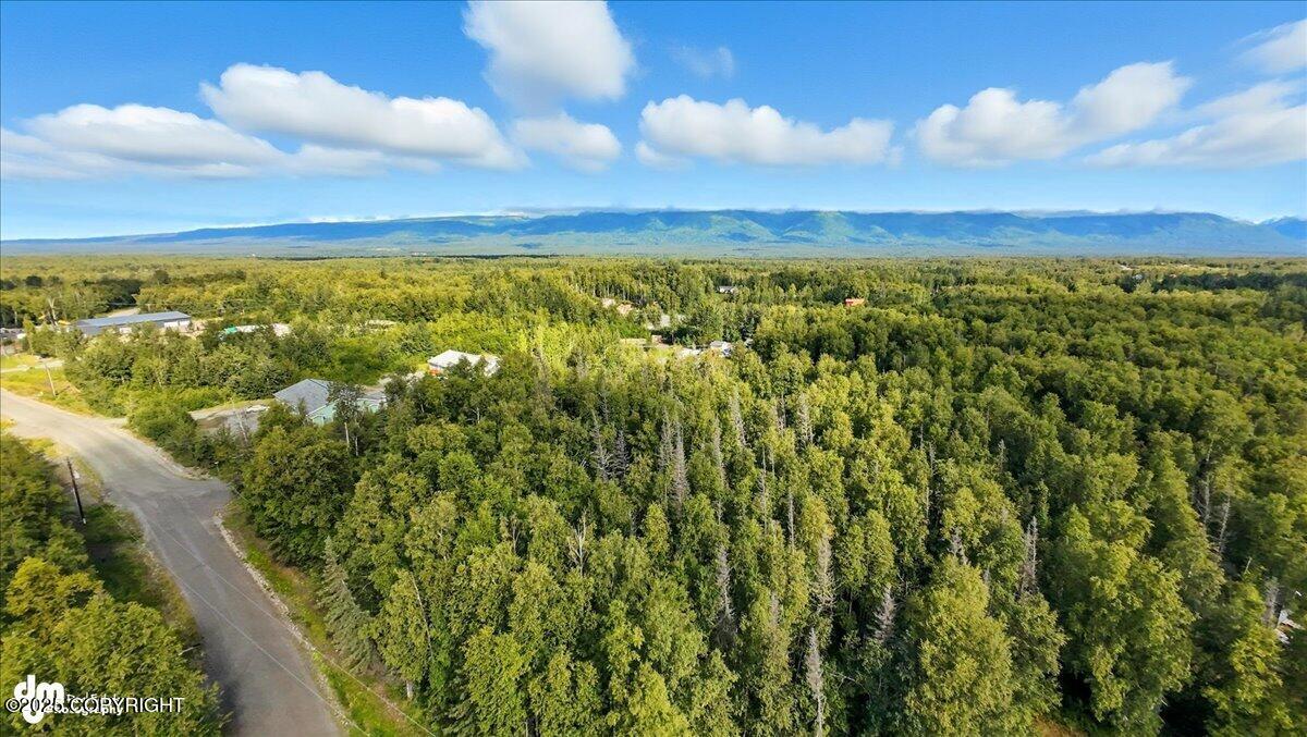 0000 Devon Wood Div1 L8 B1