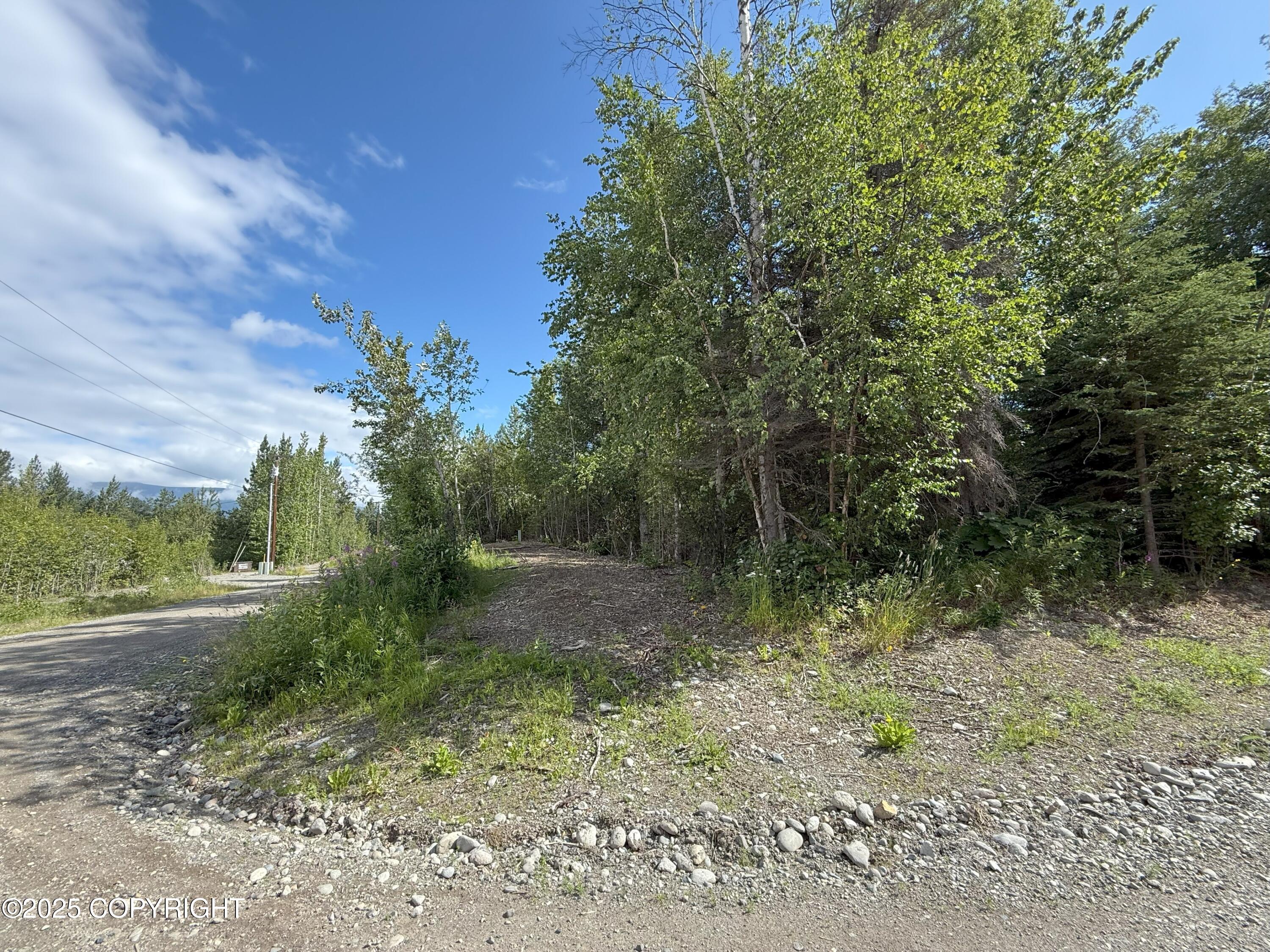 0000 Devon Wood Div1 L8 B1