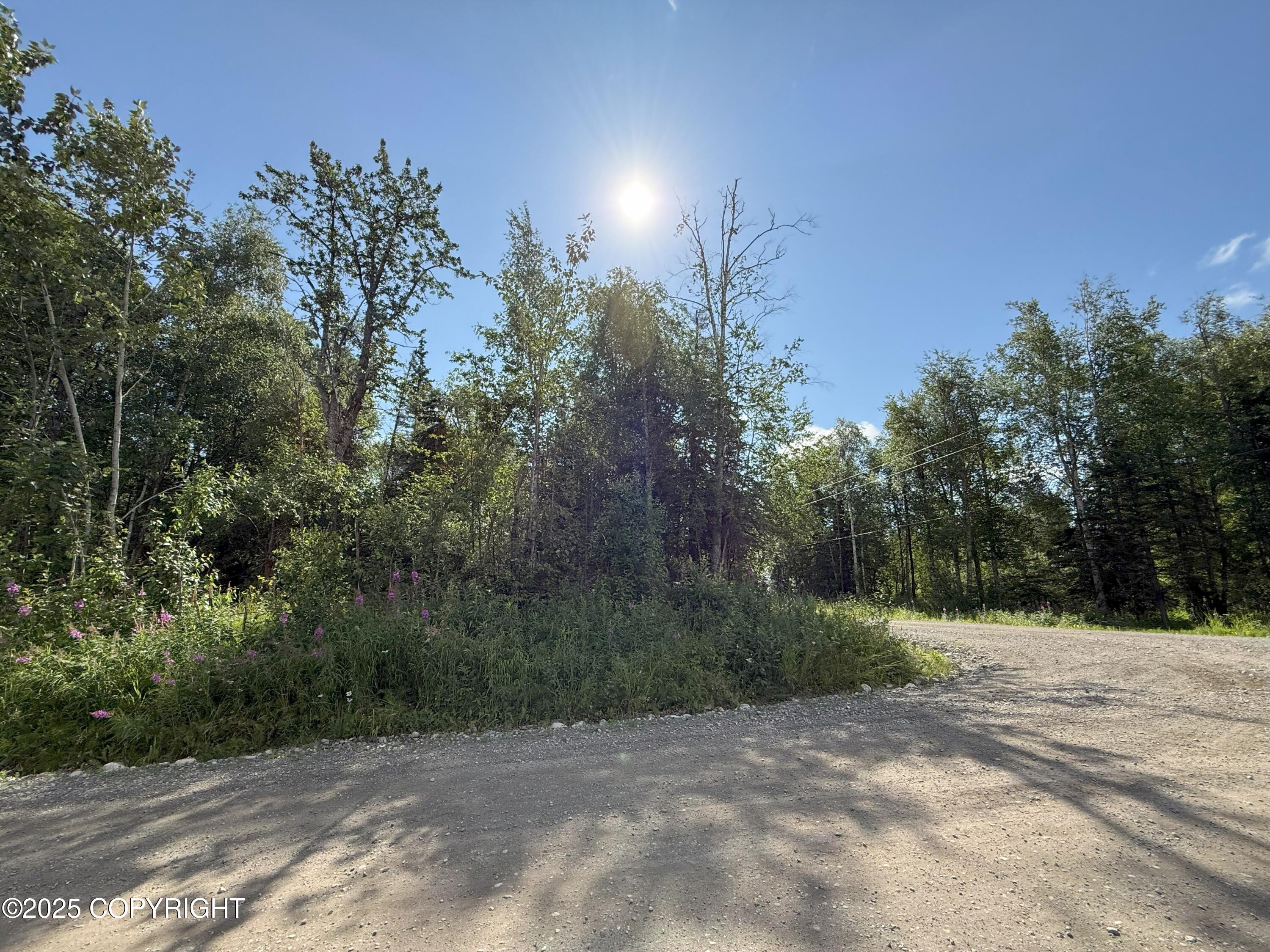 0000 Devon Wood Div1 L8 B1