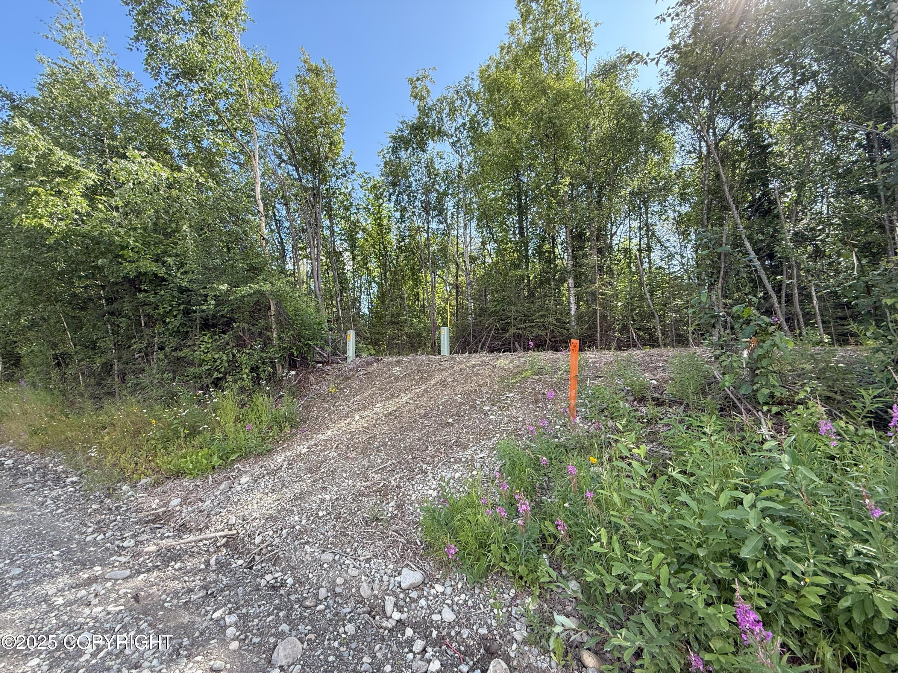 0000 Devon Wood Div1 L8 B1