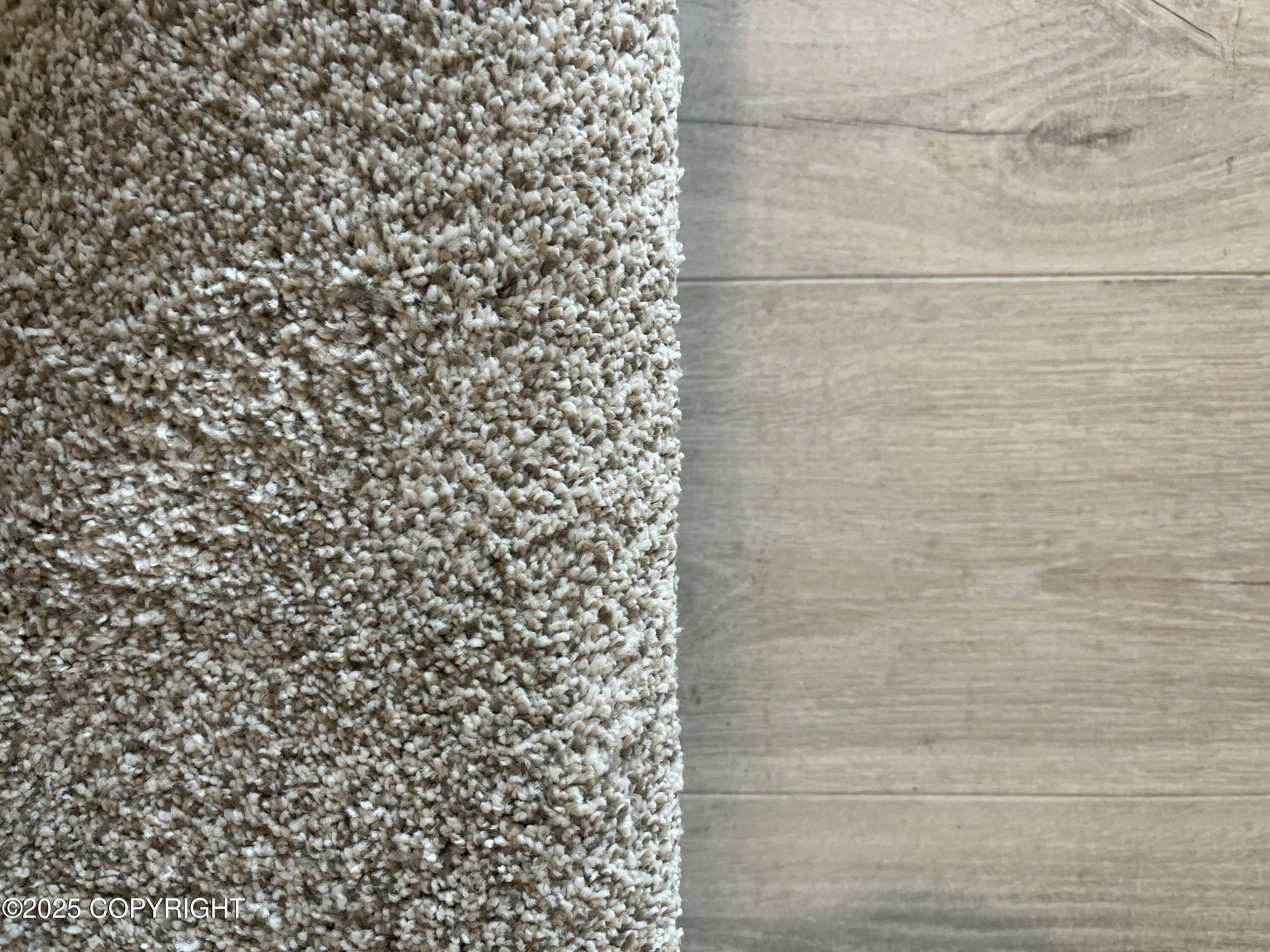 704 Top Rail Lane # 704 Unit: #704