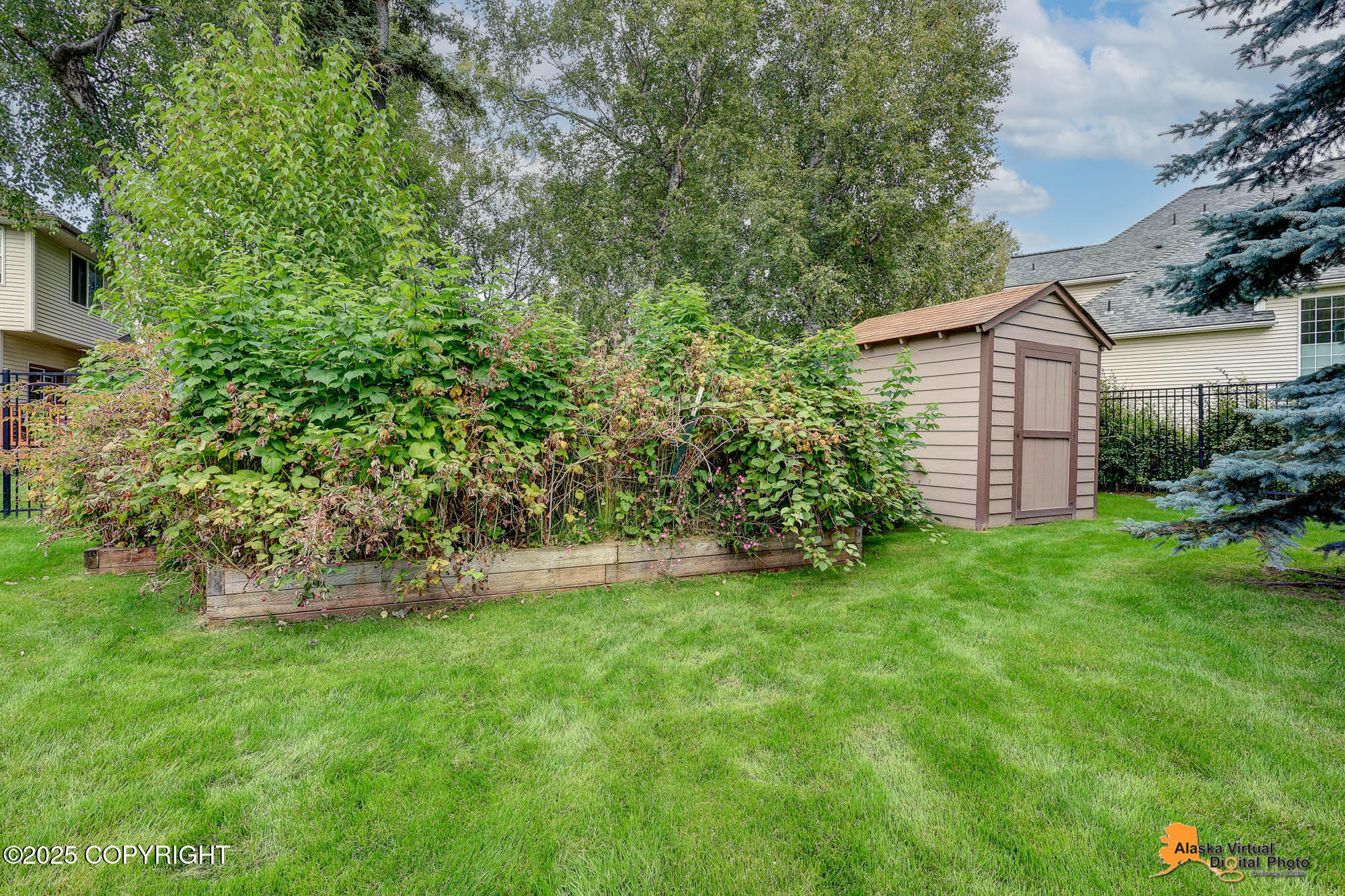 627 Orchid Circle