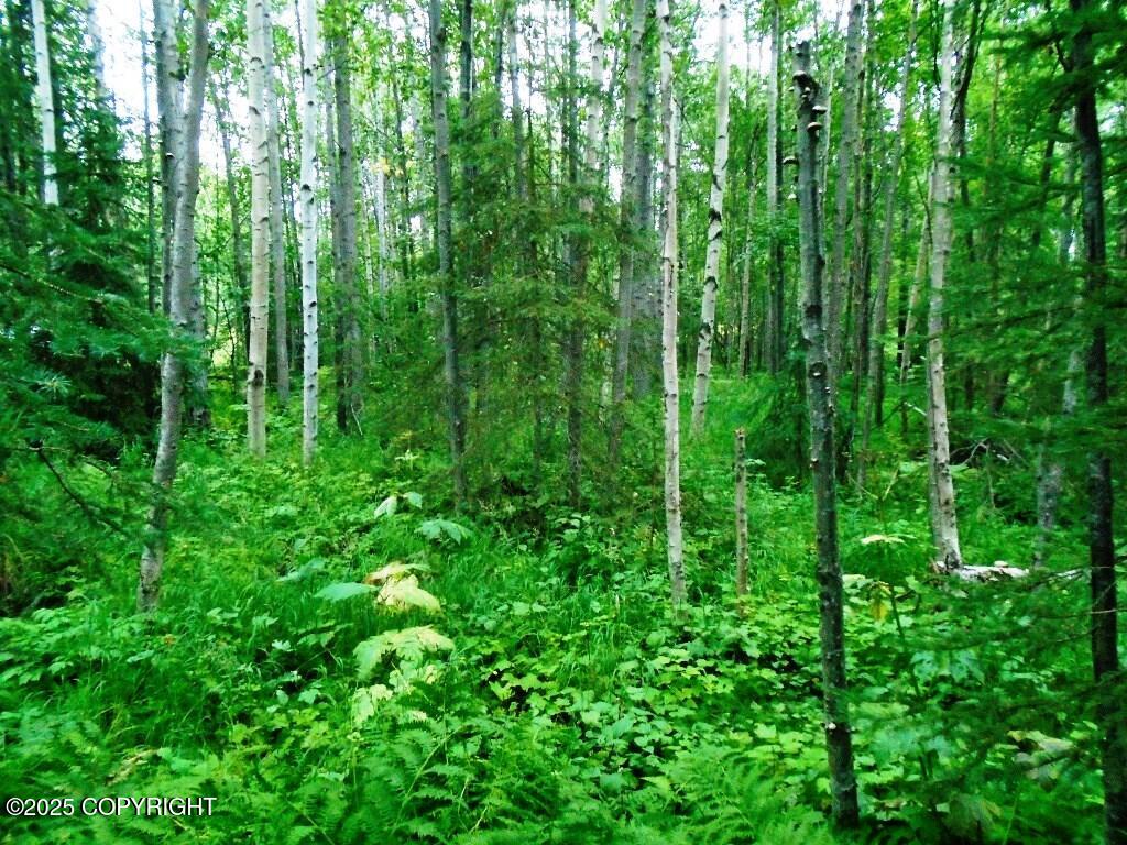 Lot 102 NW Loc Sault Avenue