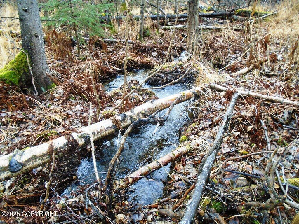 Lot 102 NW Loc Sault Avenue