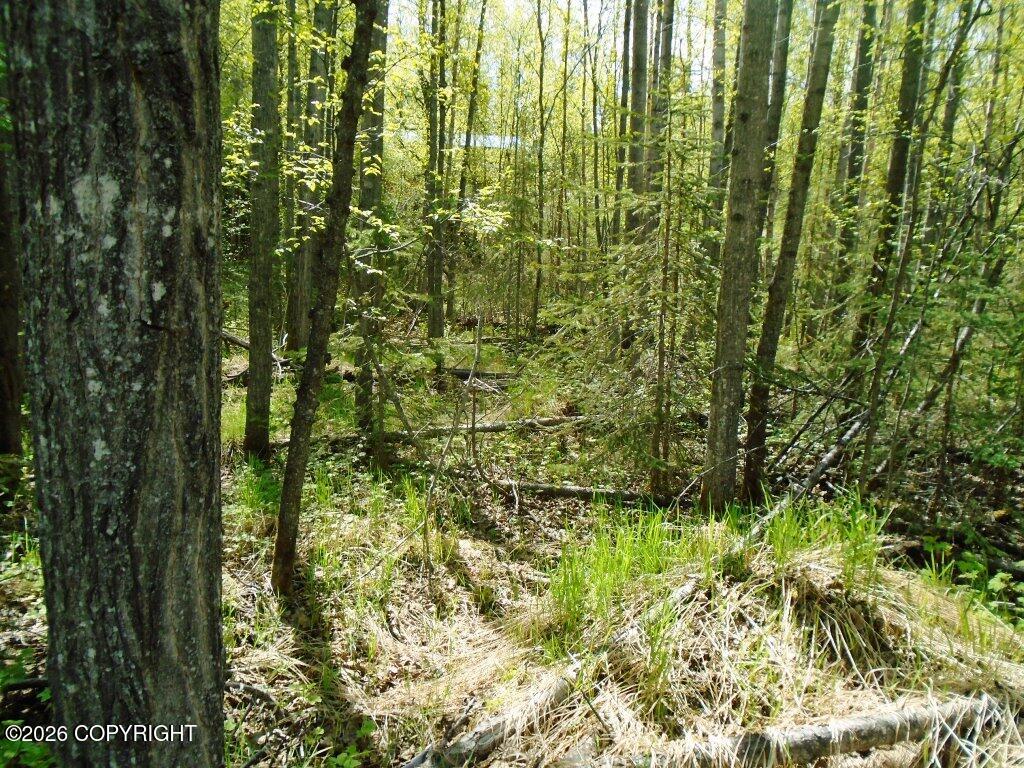 Lot 102 NW Loc Sault Avenue