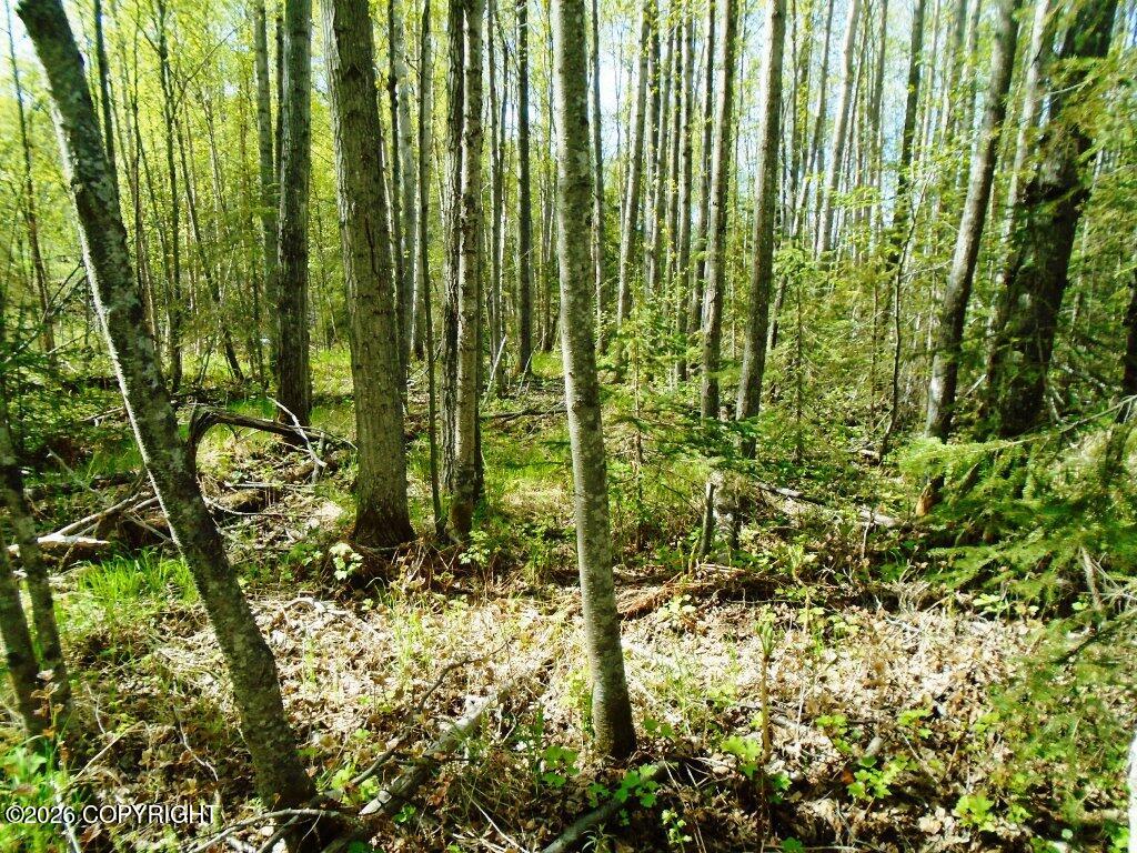 Lot 102 NW Loc Sault Avenue
