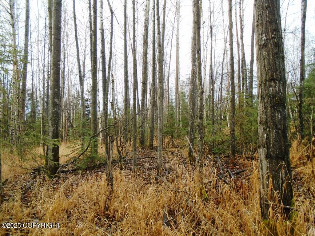 Lot 102 NW Loc Sault Avenue