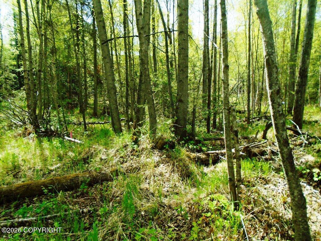 Lot 102 NW Loc Sault Avenue