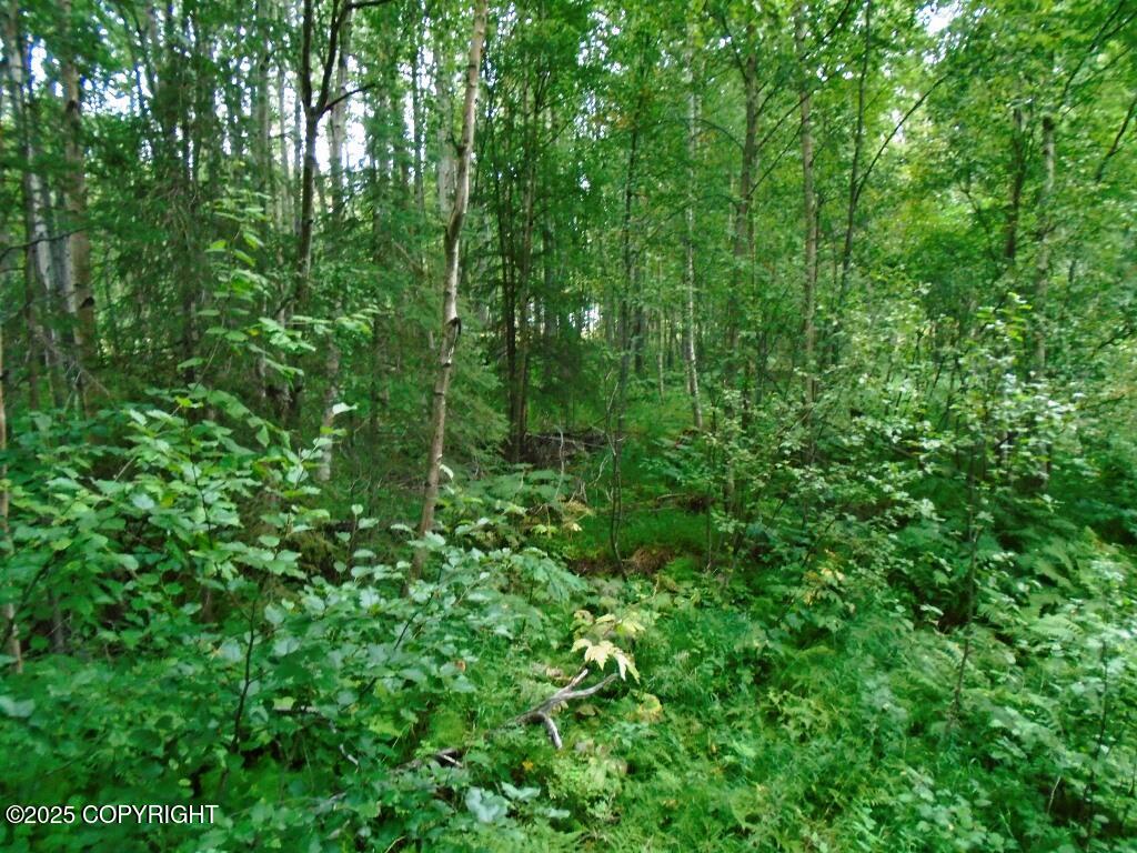 Lot 102 NW Loc Sault Avenue