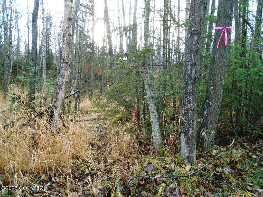 Lot 102 NW Loc Sault Avenue