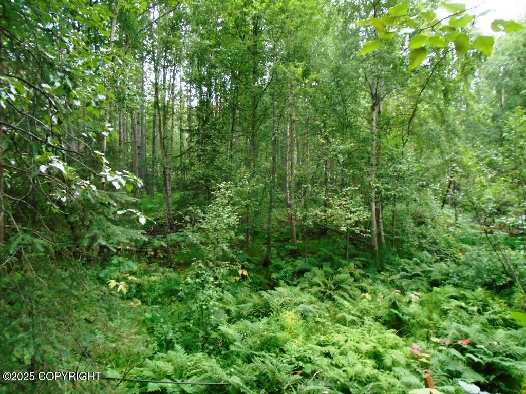 Lot 102 NW Loc Sault Avenue