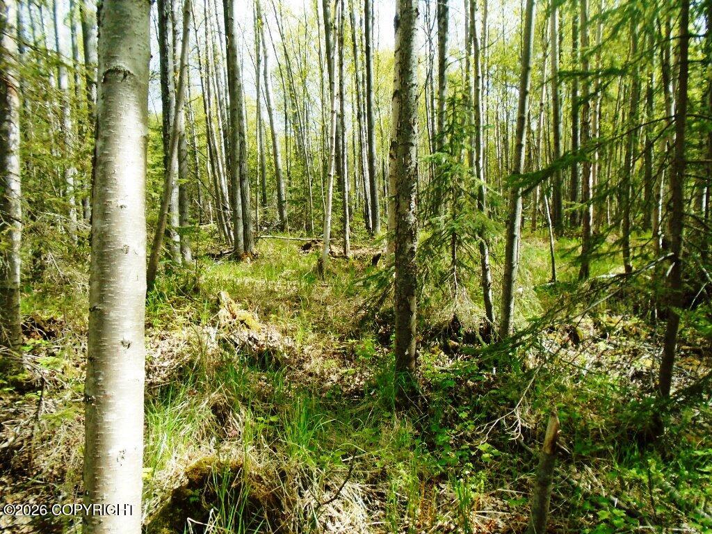 Lot 102 NW Loc Sault Avenue