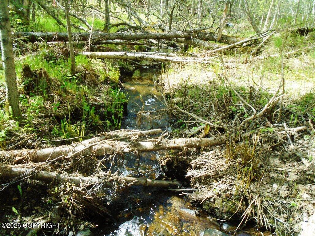 Lot 102 NW Loc Sault Avenue