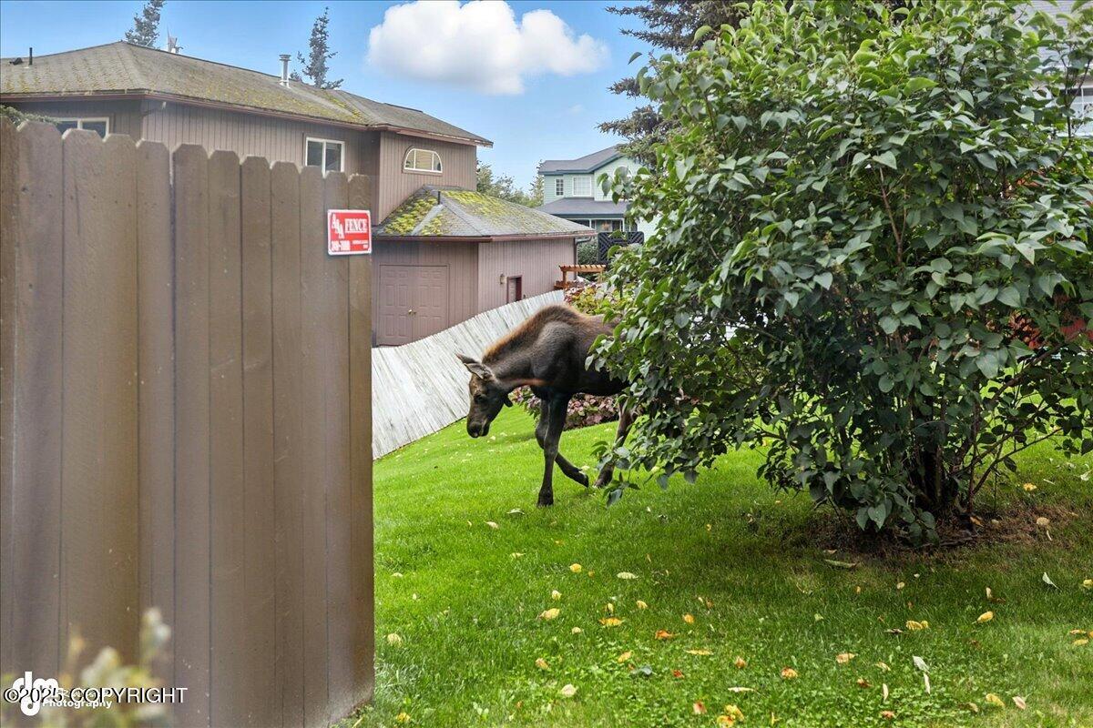 20420 Williamsburg Drive