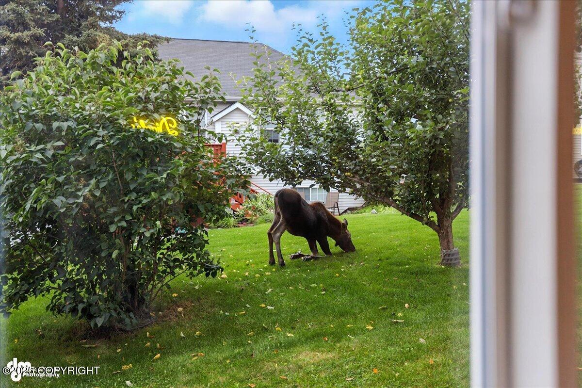 20420 Williamsburg Drive