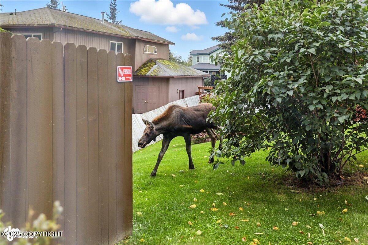 20420 Williamsburg Drive