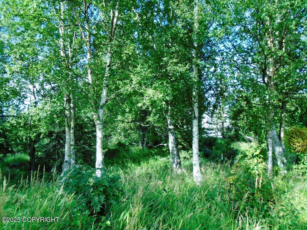 Lot 2 Greece Drive