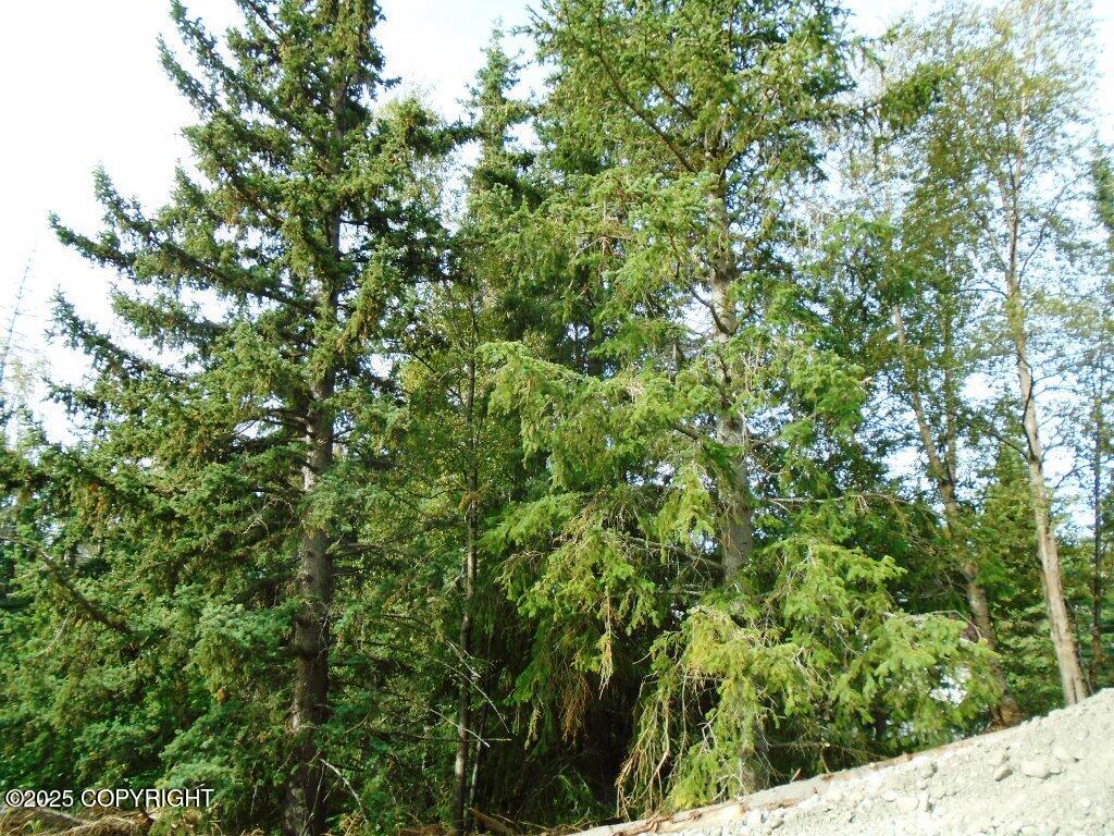 Lot 2 Greece Drive